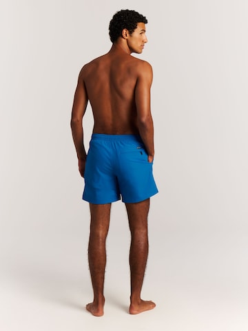 PROTEST Swimming shorts 'Faster' in Blue