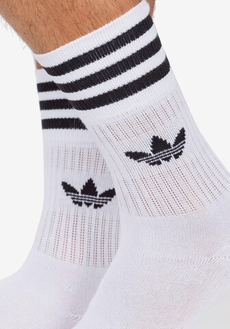 Chaussettes ADIDAS ORIGINALS en blanc