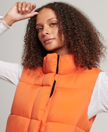 Superdry Vest in Orange