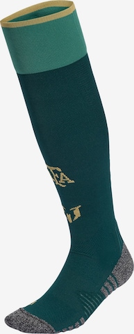 ADIDAS PERFORMANCE Sports socks 'Argentinien Messi 26' in Green: front