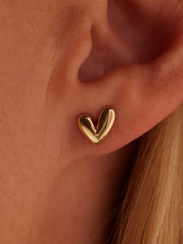 Lucardi Oorbellen in Goud