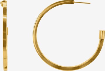 Heideman Earrings 'Galba ' in Gold