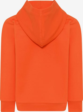 LEGO® kidswear Sweatshirt 'STORM 705' i orange