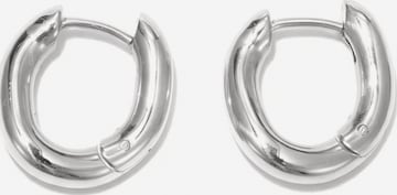 lePelou Earrings 'FLOW' in Silver: front