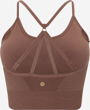 Athlecia Regular Sports Bra 'Foan' in Brown