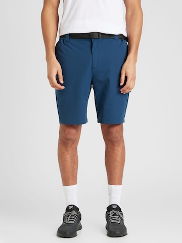Regular Pantalon outdoor 'Tuned In Pro' DARE2B en bleu : devant