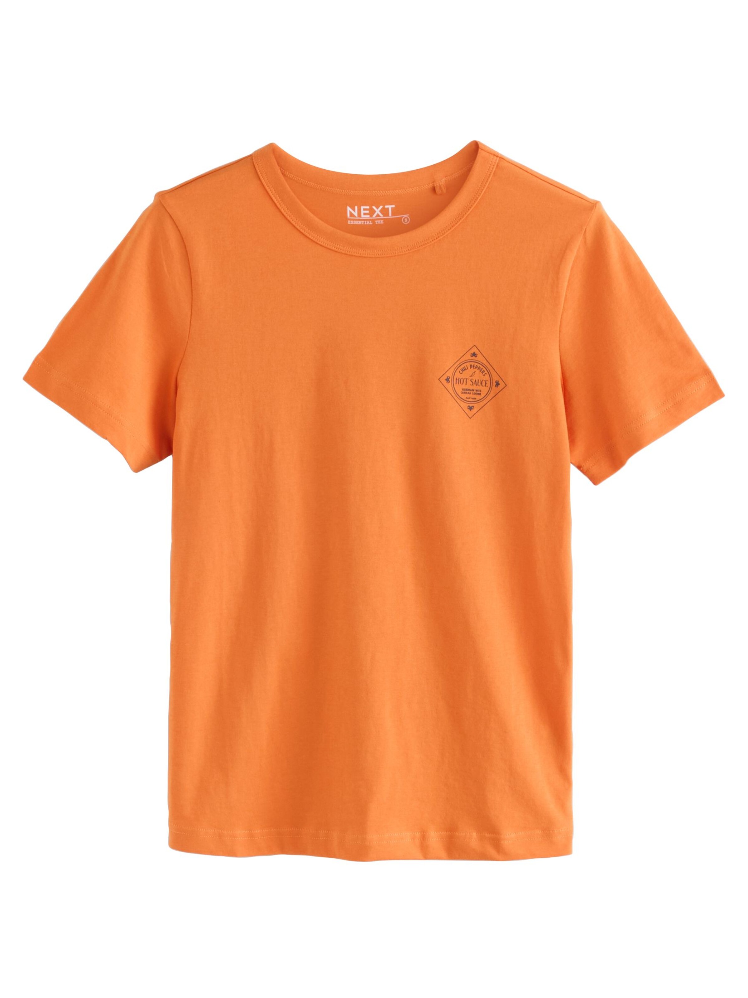 Next T-Shirt 'Essential' in Orange: Vorderseite