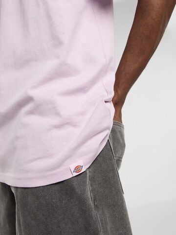 Maglietta 'Statesville' di DICKIES in lilla