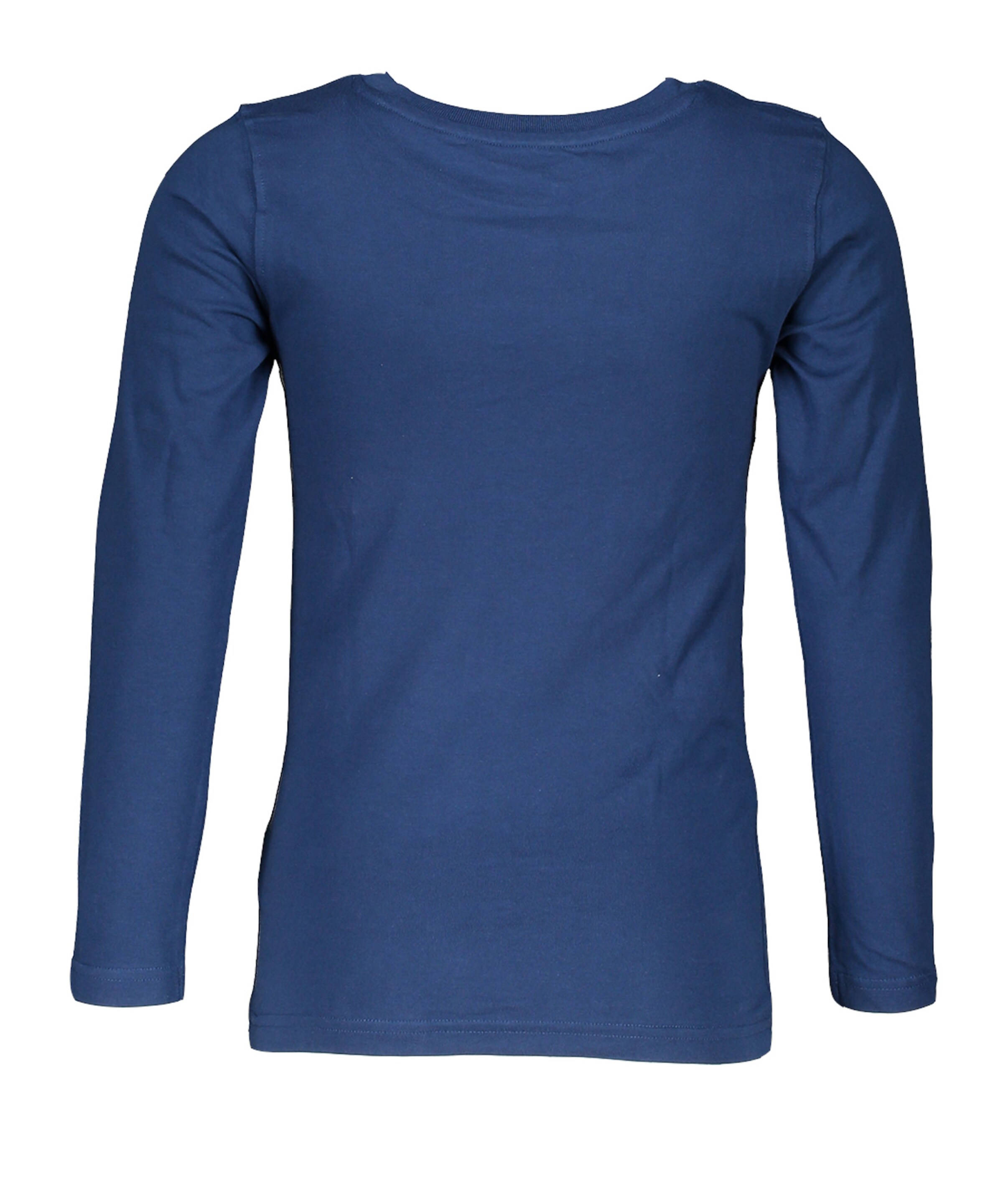 DFB Performance Shirt in Blue