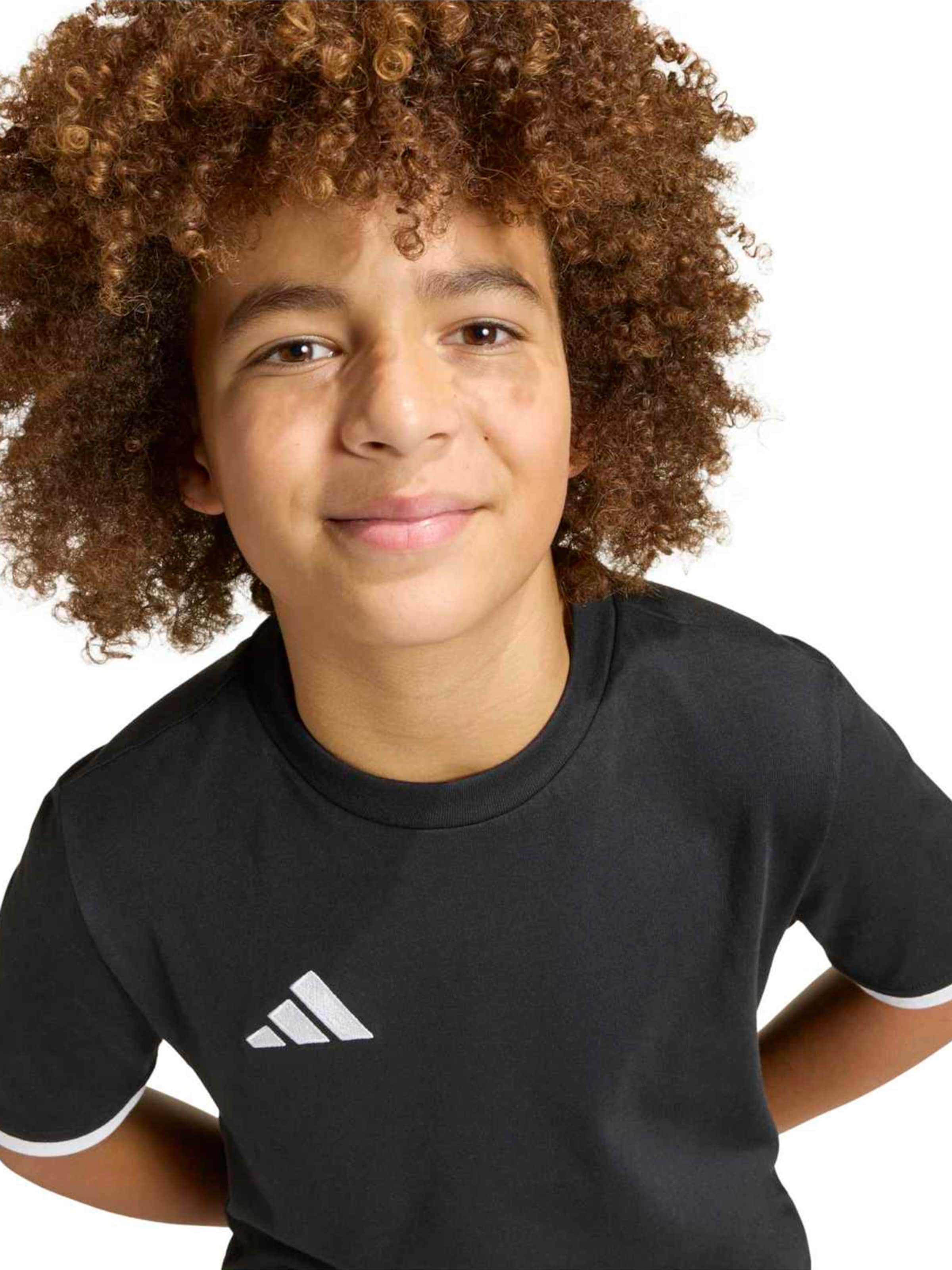 ADIDAS PERFORMANCE Funktionsshirt 'ENT26' in Schwarz