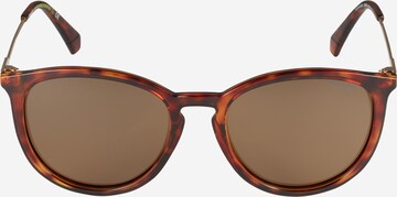 Polaroid Sunglasses 'PLD 4143/S/X' in Brown