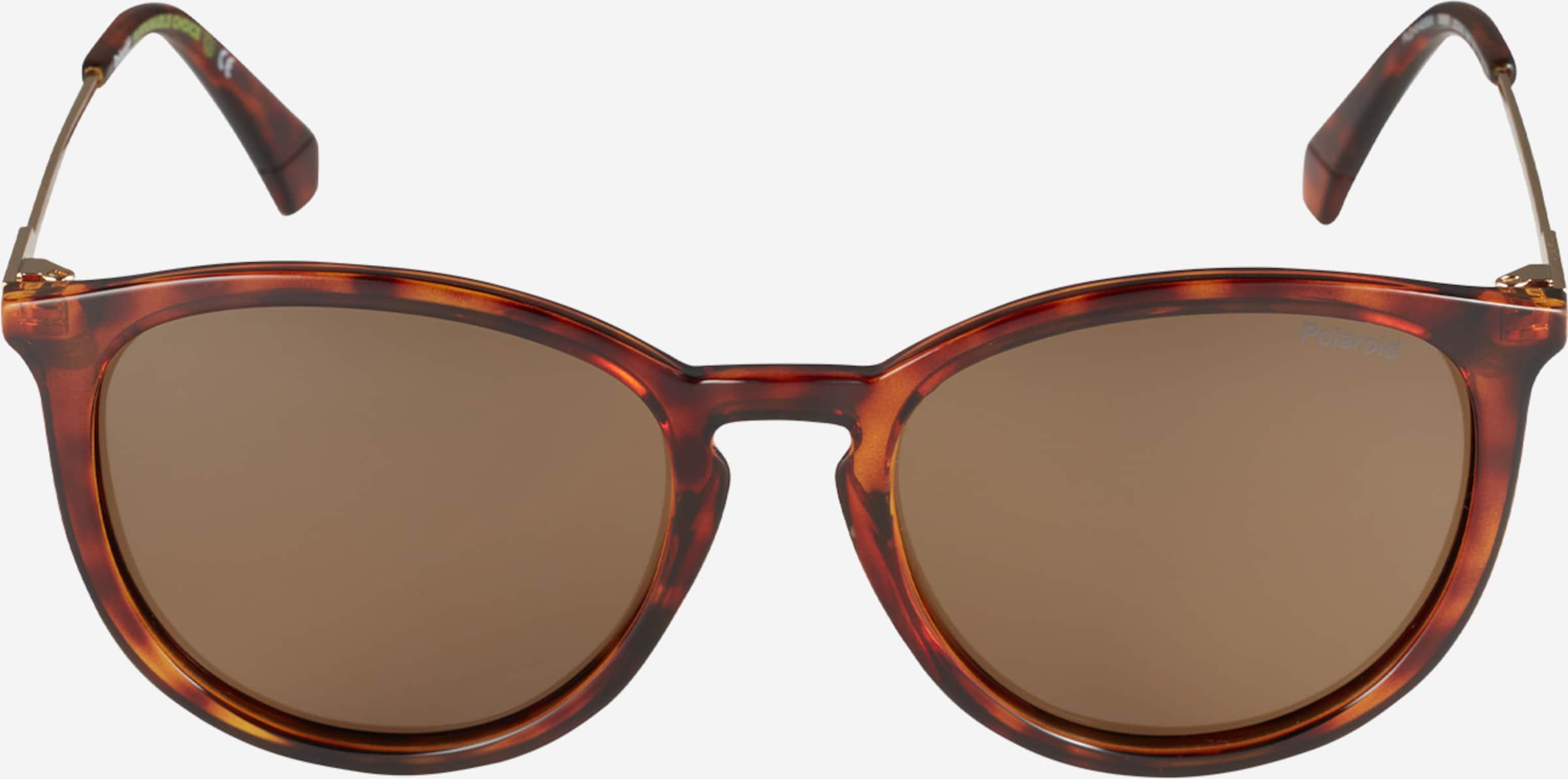 Polaroid sunglasses cape town deals