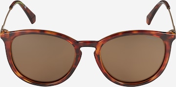 Polaroid Sunglasses 'PLD 4143/S/X' in Brown