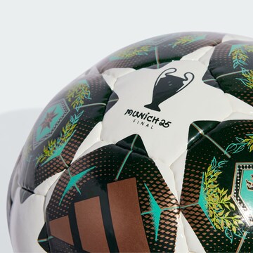 ADIDAS PERFORMANCE Bal 'UCL Pro Sala 24/25 Knockout Stages' in Wit