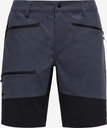 Haglöfs Outdoor Pants 'Rugged Flex' in Blue: front
