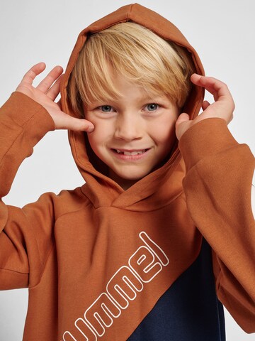 Hummel Sweatshirt 'Axel' in Braun