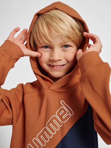 Hummel Sweatshirt 'Axel' in Brown