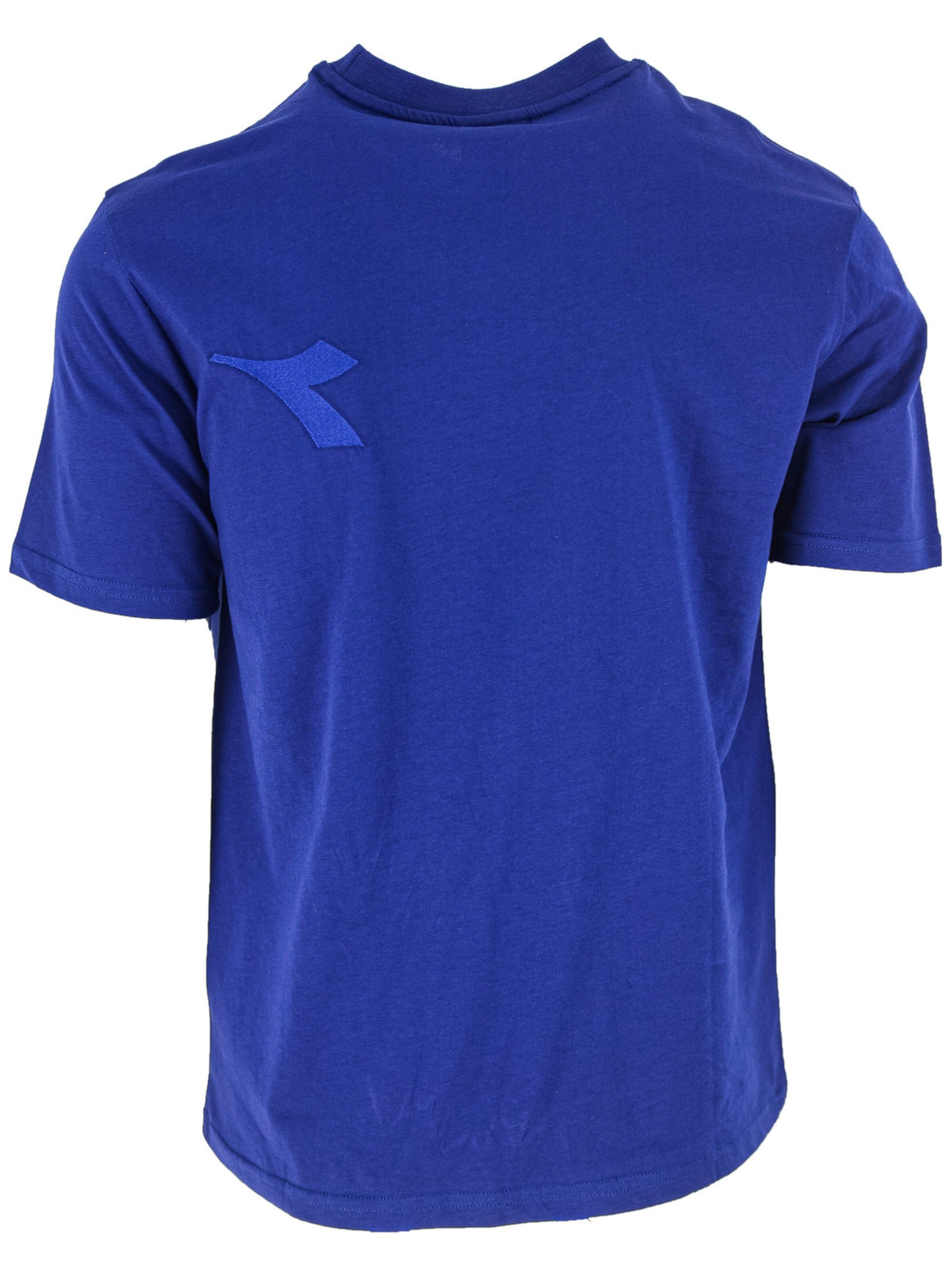 Diadora Shirt 'Diadora SS Spw Logo' in Blauw