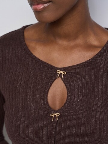 Salsa Jeans Pullover in Braun