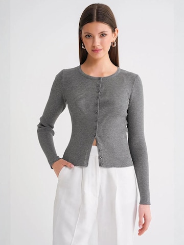 MixRay Knit Cardigan in Grey: front
