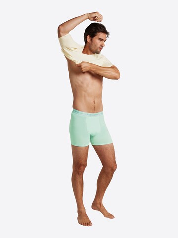 zils ICEBREAKER Bokseršorti 'M Anatomica Boxers'