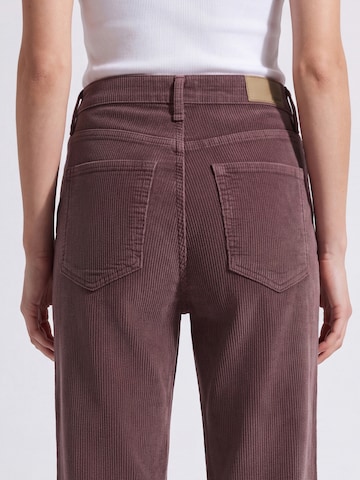 Mavi Flared Jeans in Brown