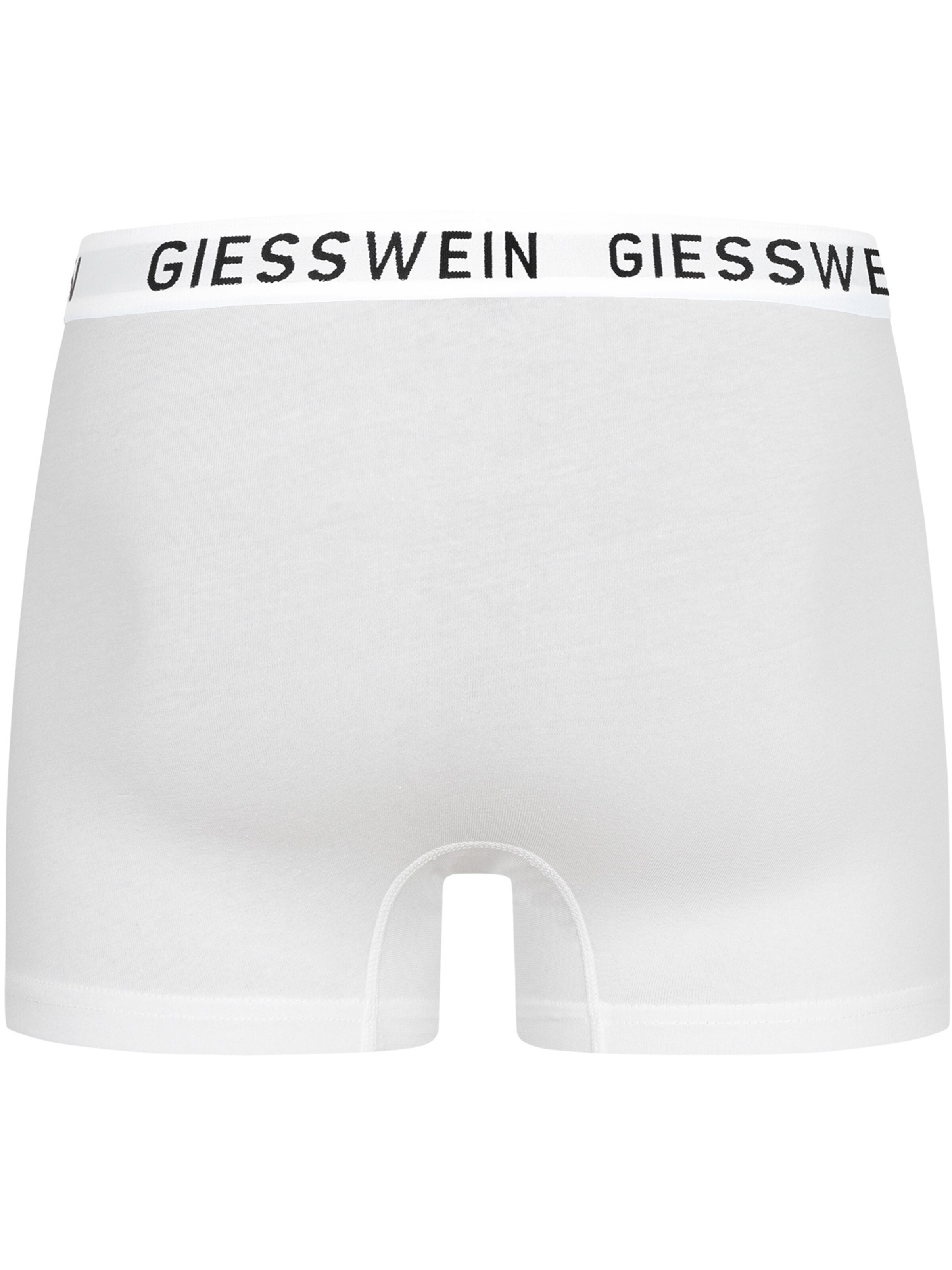 GIESSWEIN Boxer shorts in Grey