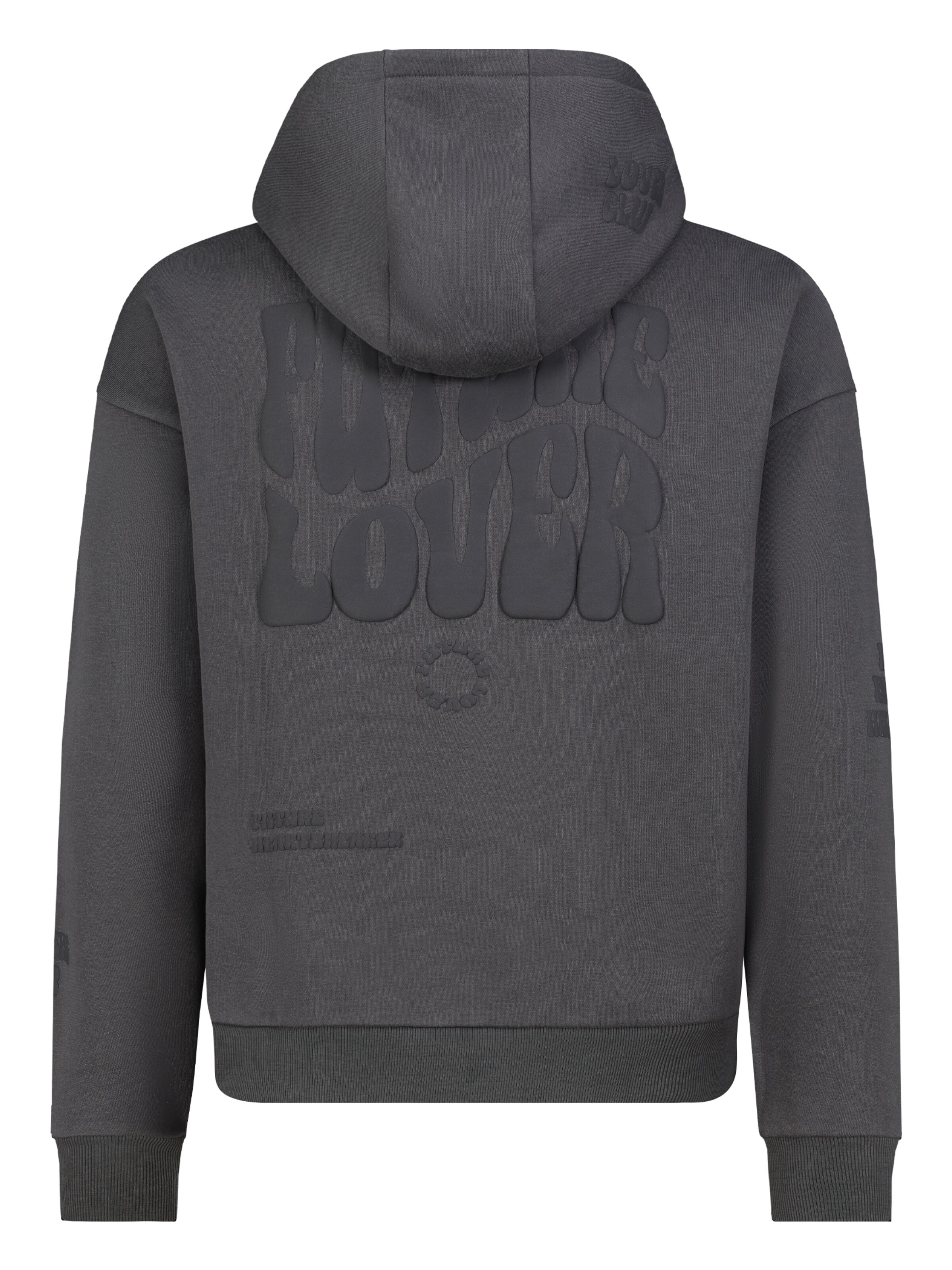 Sublevel Sweatshirt in Grijs