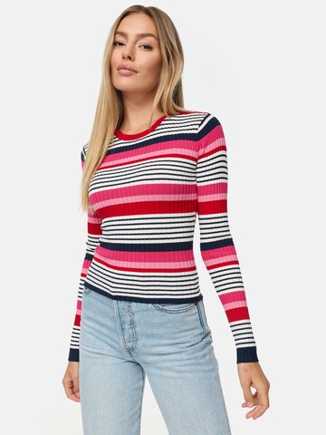 Threadbare Pullover 'Hannah' in Mischfarben