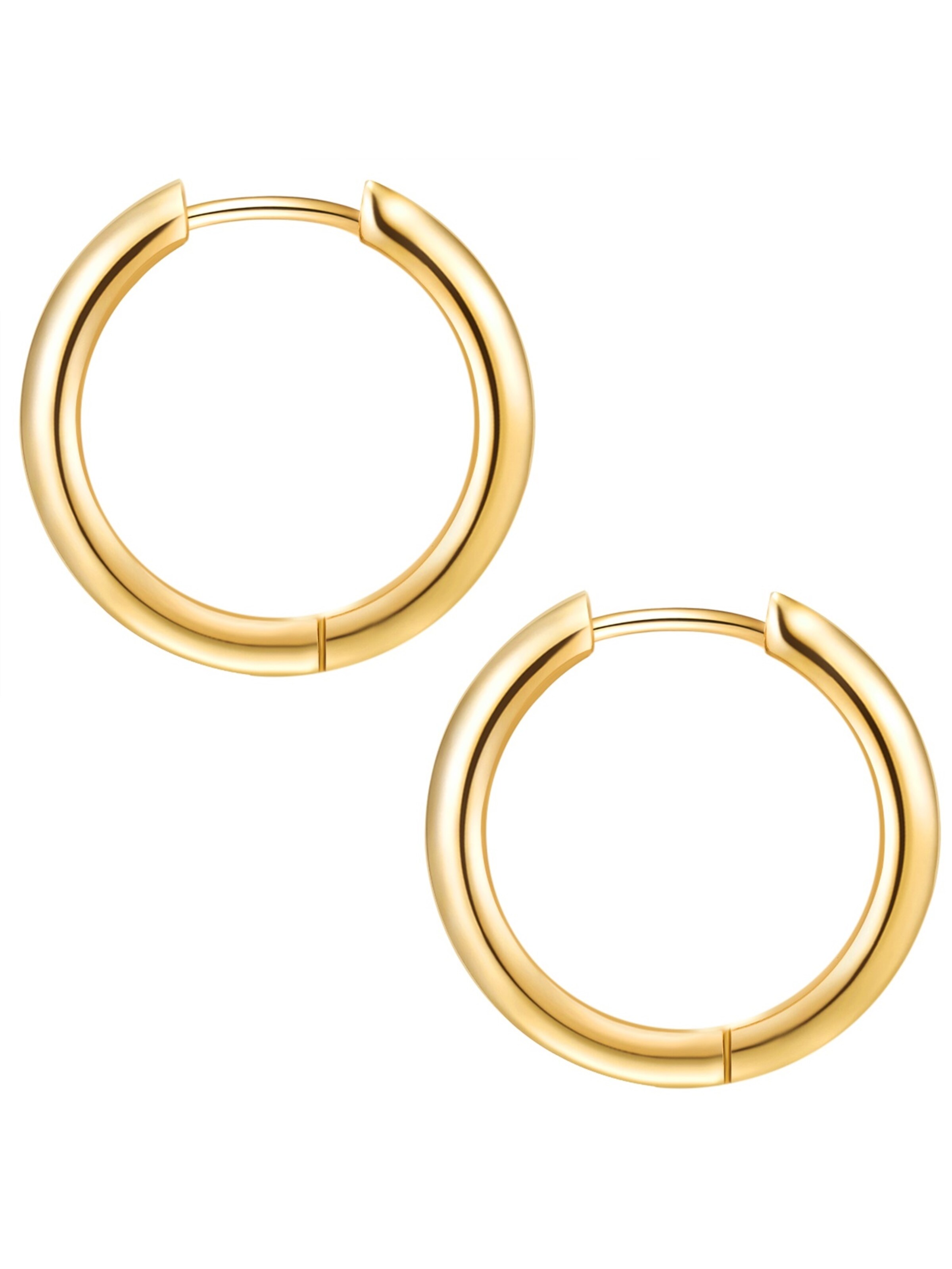 Eastside Oorbellen in Goud