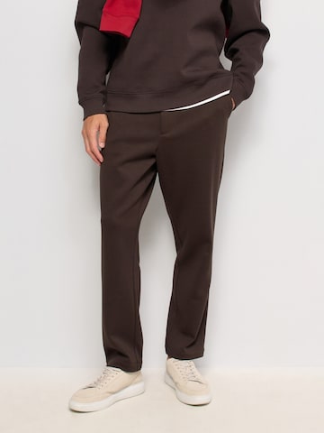 Salsa Jeans Regular Hose in Braun
