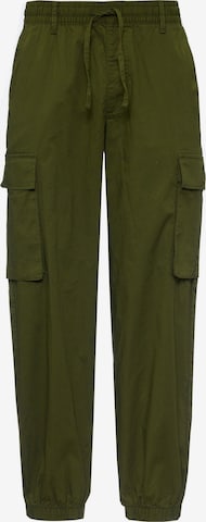 Champion Authentic Athletic Apparel Tapered Hose in Grün: Vorderseite