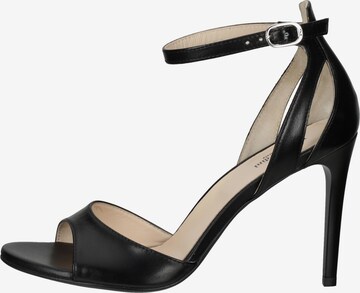 Nero Giardini Sandals in Black