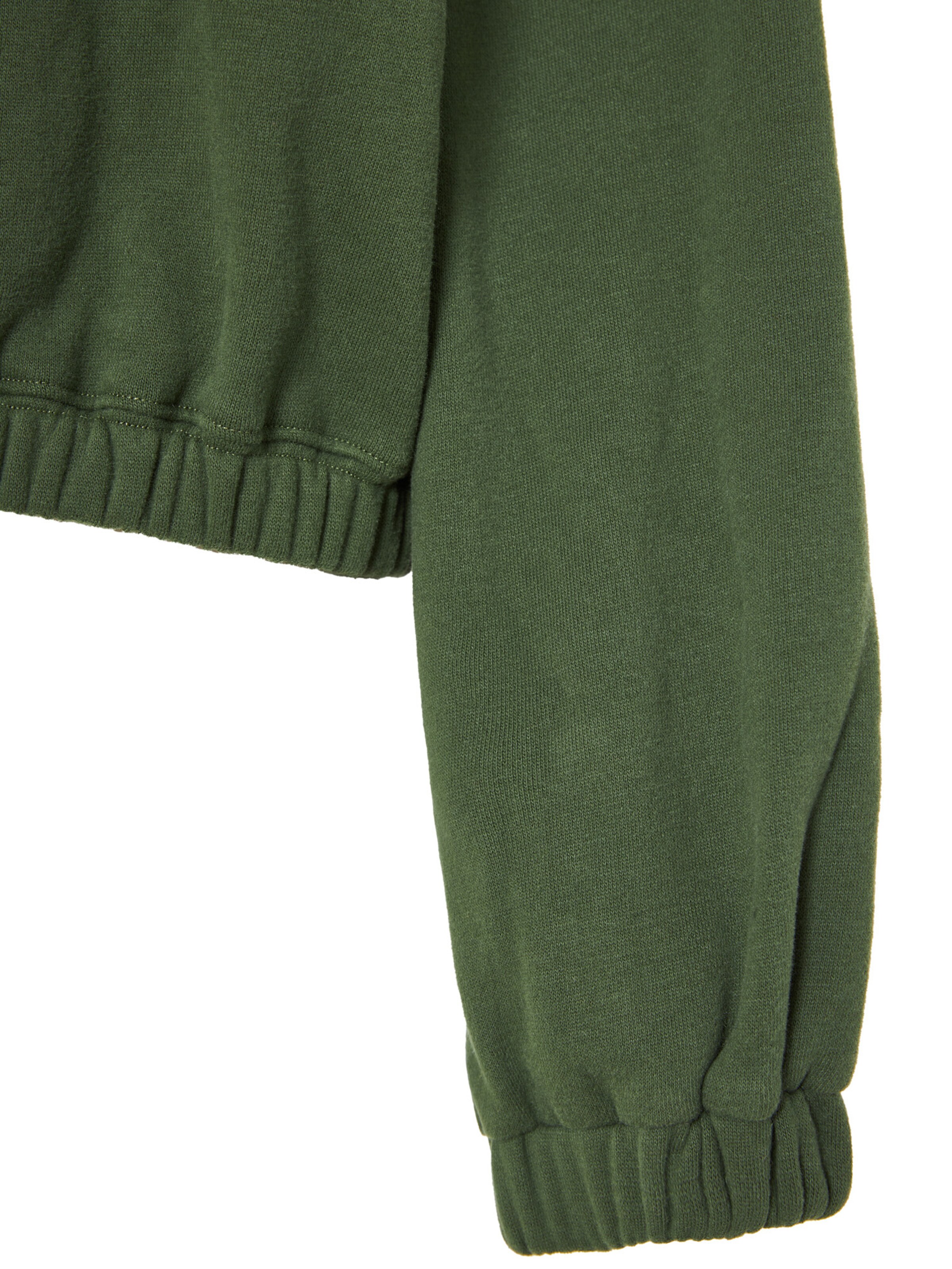 Funky Buddha Sweatshirt in Grün