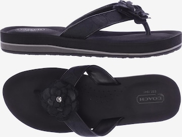 COACH Sandalen 42,5 in Schwarz: predná strana