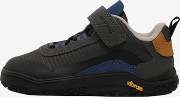 Scarpa bassa 'PYR GTX 24180' di PRIMIGI in grigio: frontale