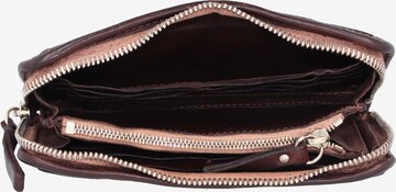 Campomaggi Wallet in Brown