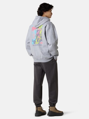 THE NORTH FACE Mikina 'Expedition' - Sivá