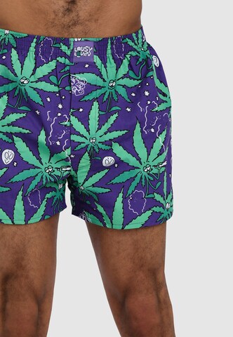 Lousy Livin Boxershorts 'Weedy & Broccoli' in Lila