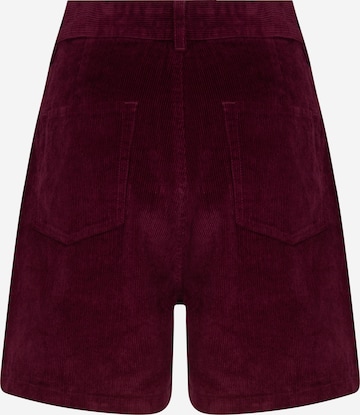 regular Pantaloni 'Shelby' di Afends in rosso