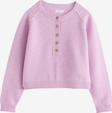 Next - Jersey en lila: frente