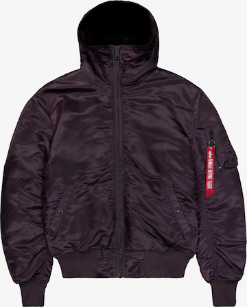 ALPHA INDUSTRIES - Casaco de inverno em roxo: frente