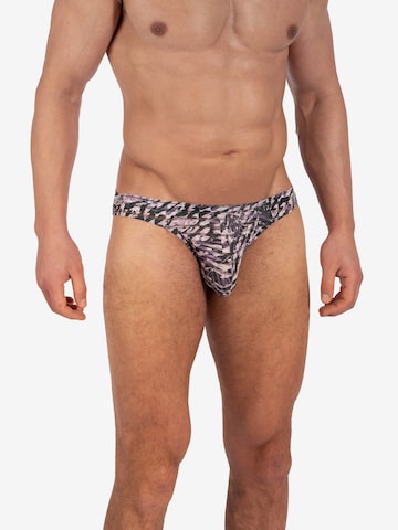 Olaf Benz Panty 'Brazilbrief ' in Purple: front