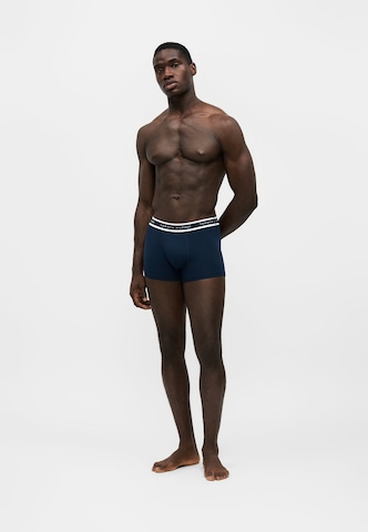 Tommy Hilfiger Underwear Bokserki w kolorze niebieski
