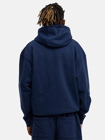 Daily Cotton Sweatshirt 'DCAUSTIN' in Blau