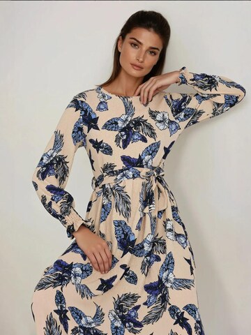 Hiccup Dress in Beige