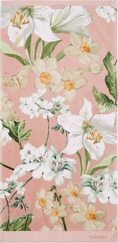 ESSENZA Handtuch 'ROSALEE' (GOTS) in Pink: predná strana