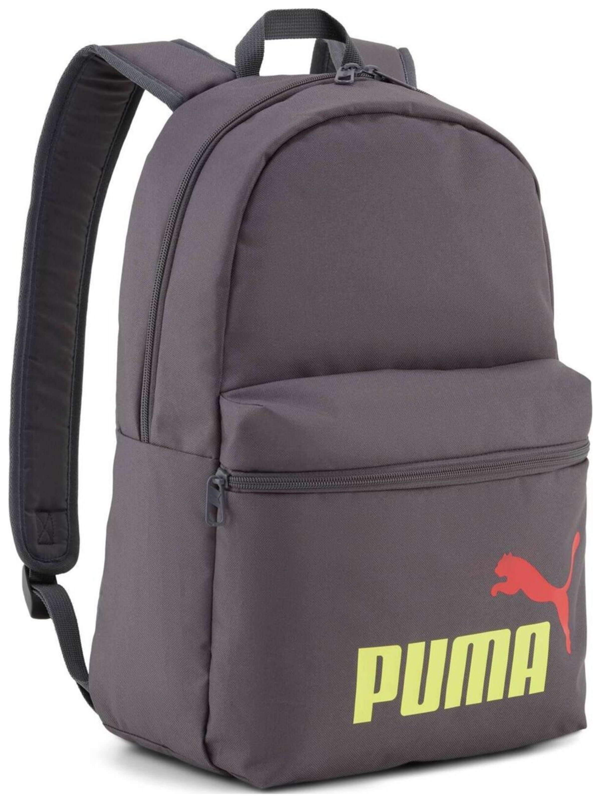PUMA - Mochila 'Puma Phase Backpack 22L' en gris: frente