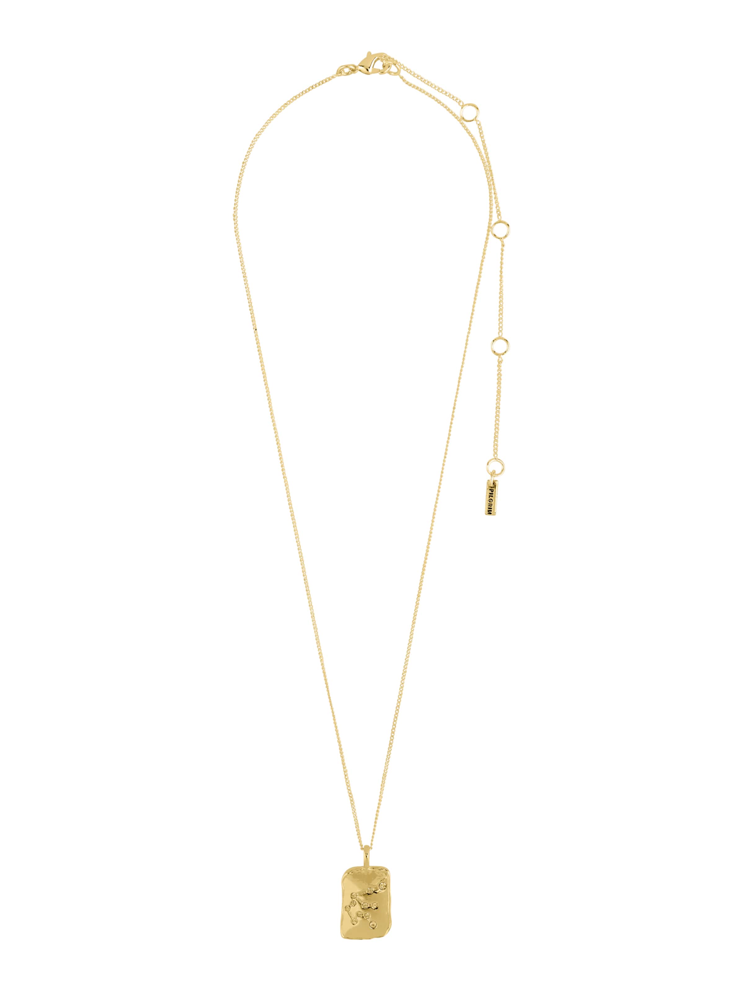 auksinė Pilgrim Grandinėlė 'Zodiac Sign Aquarius'