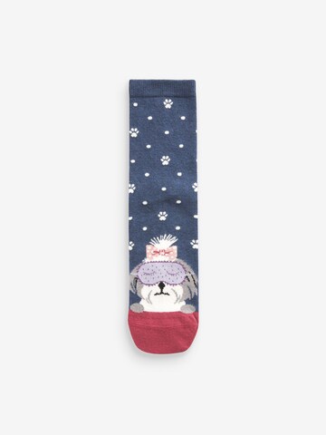 Next Socken in Mischfarben